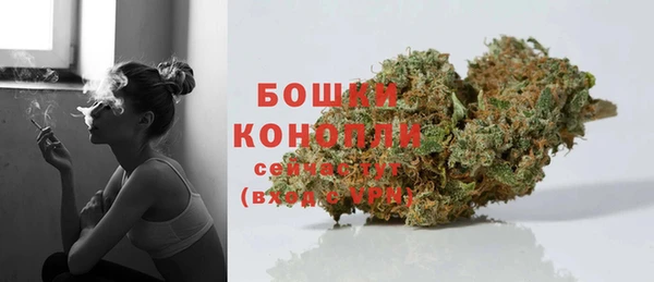 Альфа ПВП Белокуриха