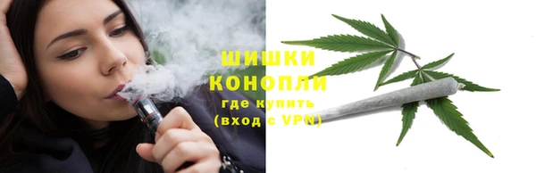 Альфа ПВП Белокуриха