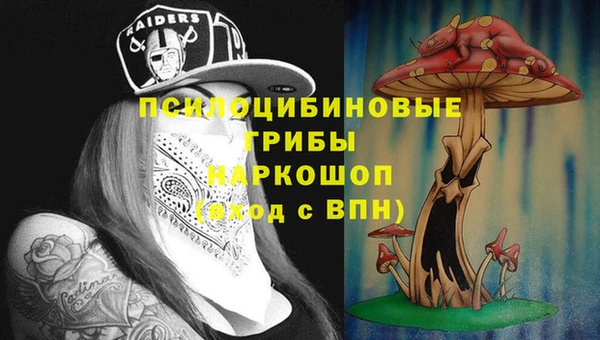 Альфа ПВП Белокуриха