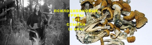 мет Беломорск